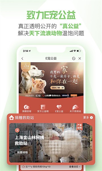 e宠app24