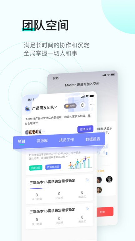 飞项软件24