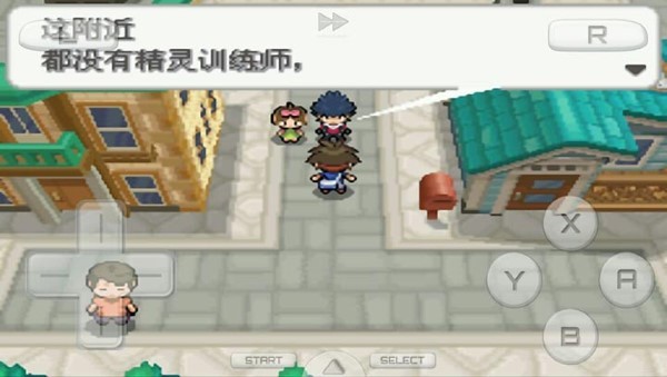 口袋妖怪白2金手指0