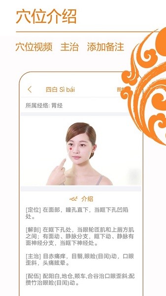 经络养生软件24