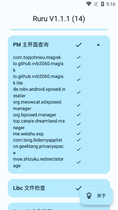 ruru检测器v1.1最新版0