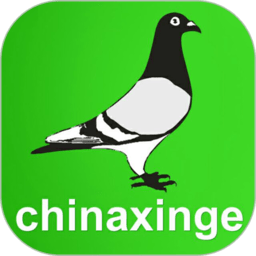 中国信鸽信息网app下载-中国信鸽信息网手机版下载v20240712 官方安卓版