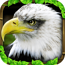 老鹰模拟器游戏下载-老鹰模拟器官方正版(eagle sim)下载v1.2 安卓版