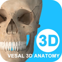 维萨里3d解剖app下载-维萨里3d解剖教学软件下载v6.6.1 安卓官方版