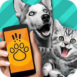 pettranslator官方正版下载-pet translator宠物对话翻译器下载v1.1 安卓最新版