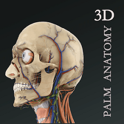 掌上3d解剖下载安装-掌上3d解剖app下载v2.7.6 安卓版