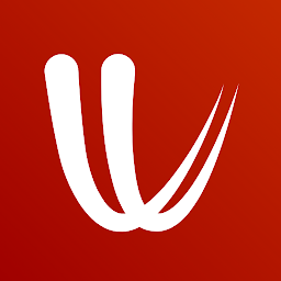 windy气象软件app下载-windy: 卫星云图中文版下载v43.0.1 官方安卓版