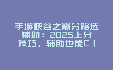 手游峡谷之巅分路选辅助：2025上分技巧，辅助也能C！_游戏攻略_36397绿色下载网