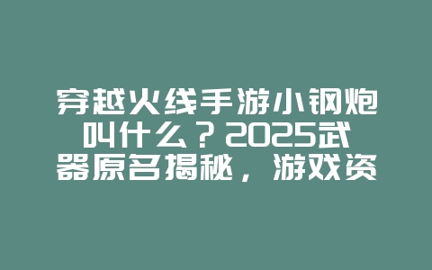 穿越火线手游小钢炮叫什么？2025武器原名揭秘，游戏资讯_游戏资讯_36397绿色下载网