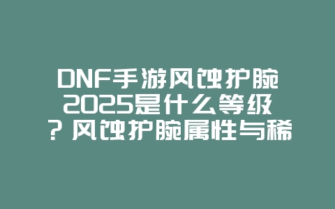 DNF手游风蚀护腕2025是什么等级?风蚀护腕属性与稀有度分析!_游戏攻略_36397绿色下载网 DNF手游风蚀护腕2025是什么等级?风蚀护腕属性与稀有度分析!_游戏攻略_36397绿色下载网