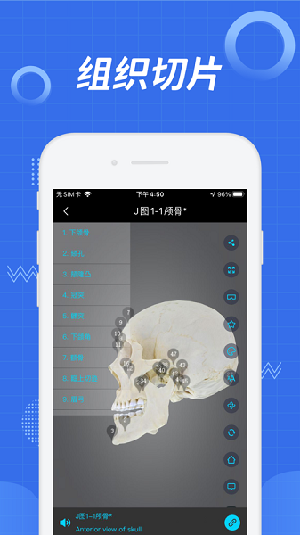 医维度解剖app下载-医维度人体解剖软件下载v3.3.16安卓版&苹果版_健康医疗_36397绿色下载网