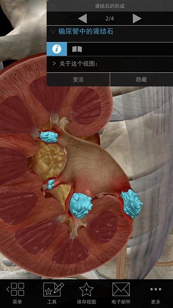 3d生理和病理学app下载-3d生理和病理学软件下载v2安卓版&苹果版_健康医疗_36397绿色下载网
