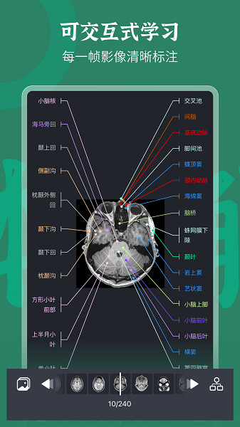 万康人体解剖app下载-万康人体解剖免费版下载v3.0.4安卓版&苹果版_健康医疗_36397绿色下载网