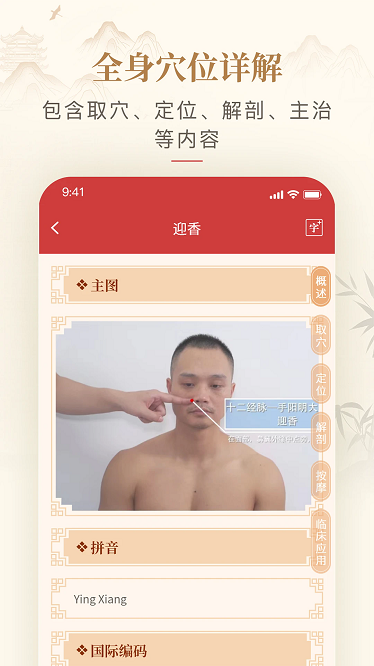 人体穴位图解app下载-人体穴位图解最新版下载v1.3安卓版&苹果版_健康医疗_36397绿色下载网