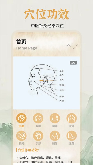 中医经络穴位图谱app下载-中医经络穴位图谱官方版下载v1.1安卓版&苹果版_健康医疗_36397绿色下载网